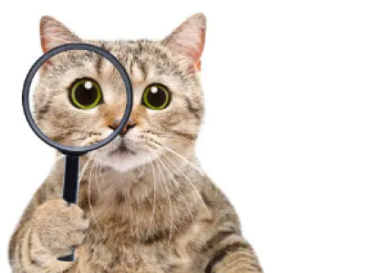 kat med forstørrelsesglas